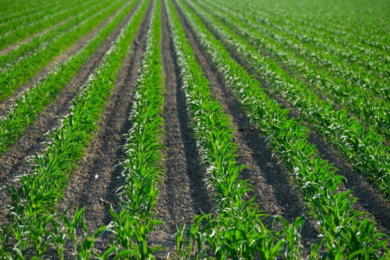 organic agricultural supplies