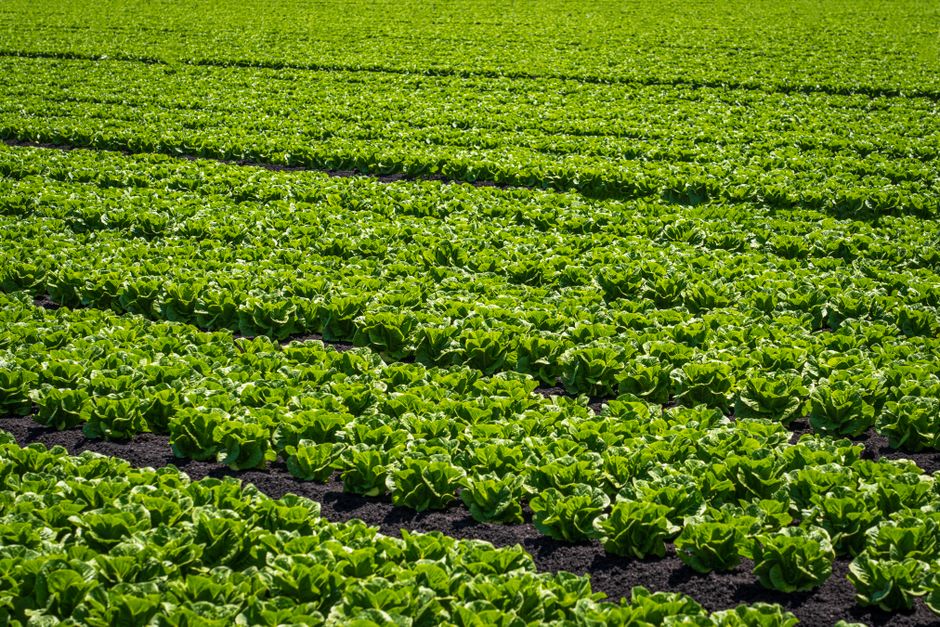 organic farming supplies