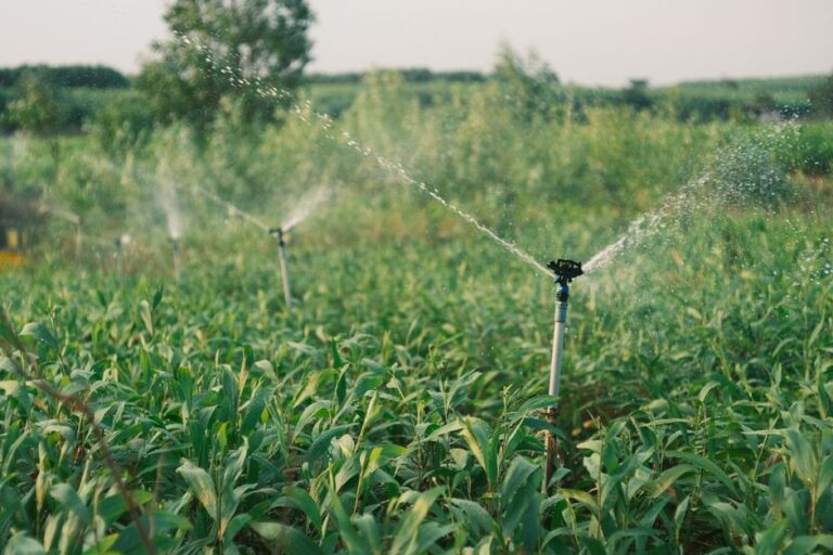 irrigation system