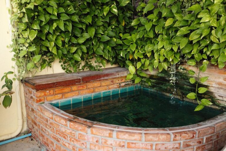 aquaponics kit