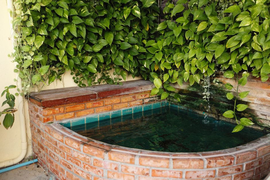 aquaponics kit
