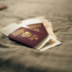 immigration lawyer