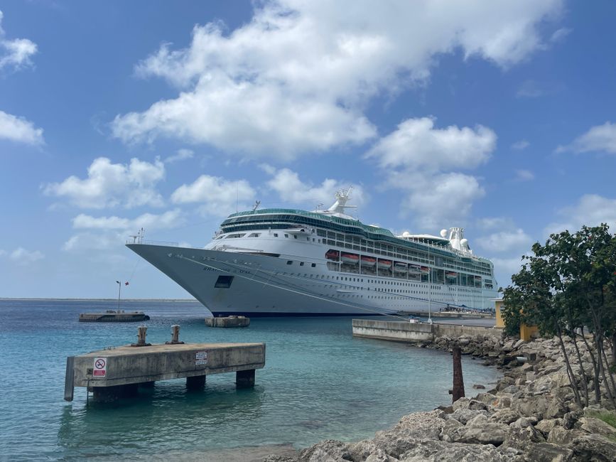 cruise deals