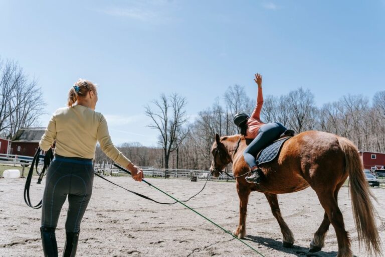 horse riding lessons