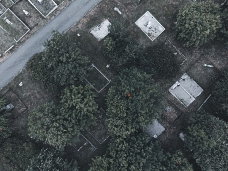 墓地 購入